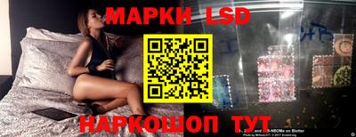 apvp Беслан