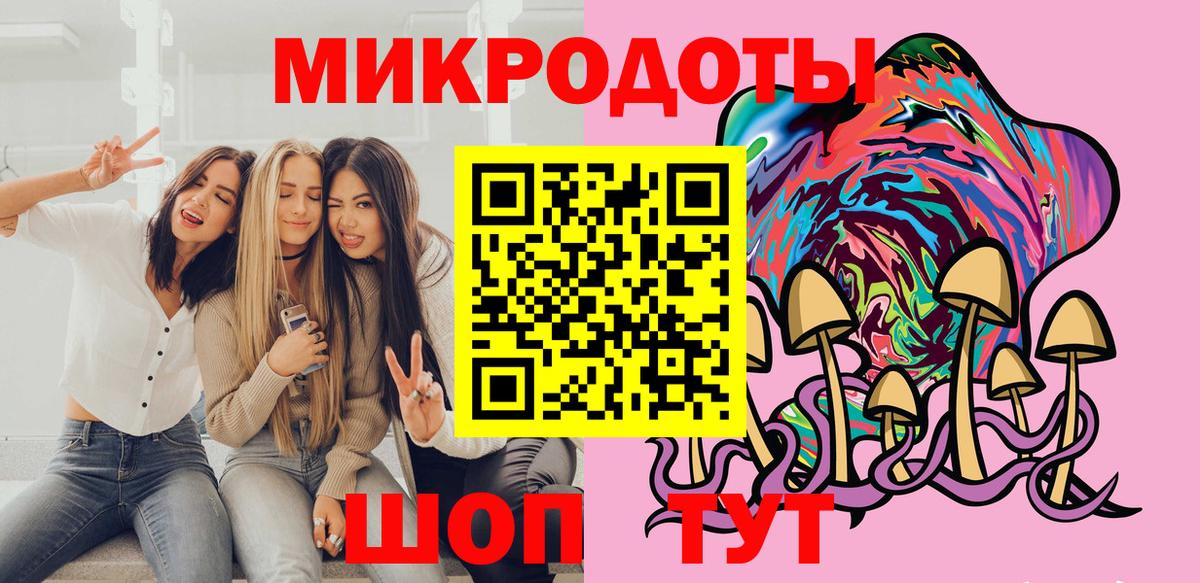 Псилоцибиновые грибы Psilocybe Ишим