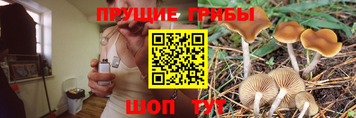 Псилоцибиновые грибы GOLDEN TEACHER  Вход с VPN  что такое наркотик  Ишим 